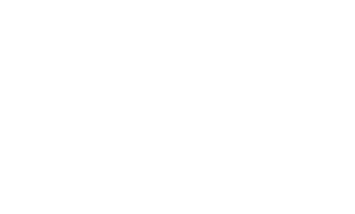 SANDER SUPPORT LOGISTIC s.r.o.